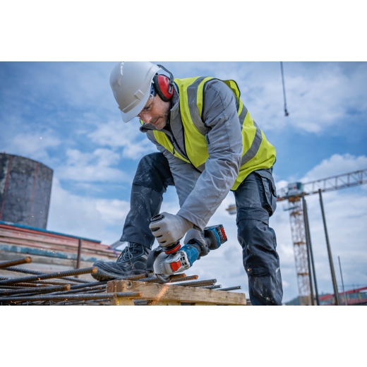 Imagen de la aplicación