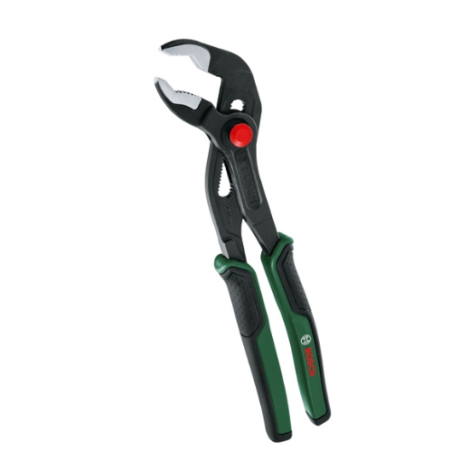 Bosch pico de loro