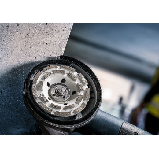 Detalle de la imagen