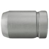 Stecknuss 1/2" SW17